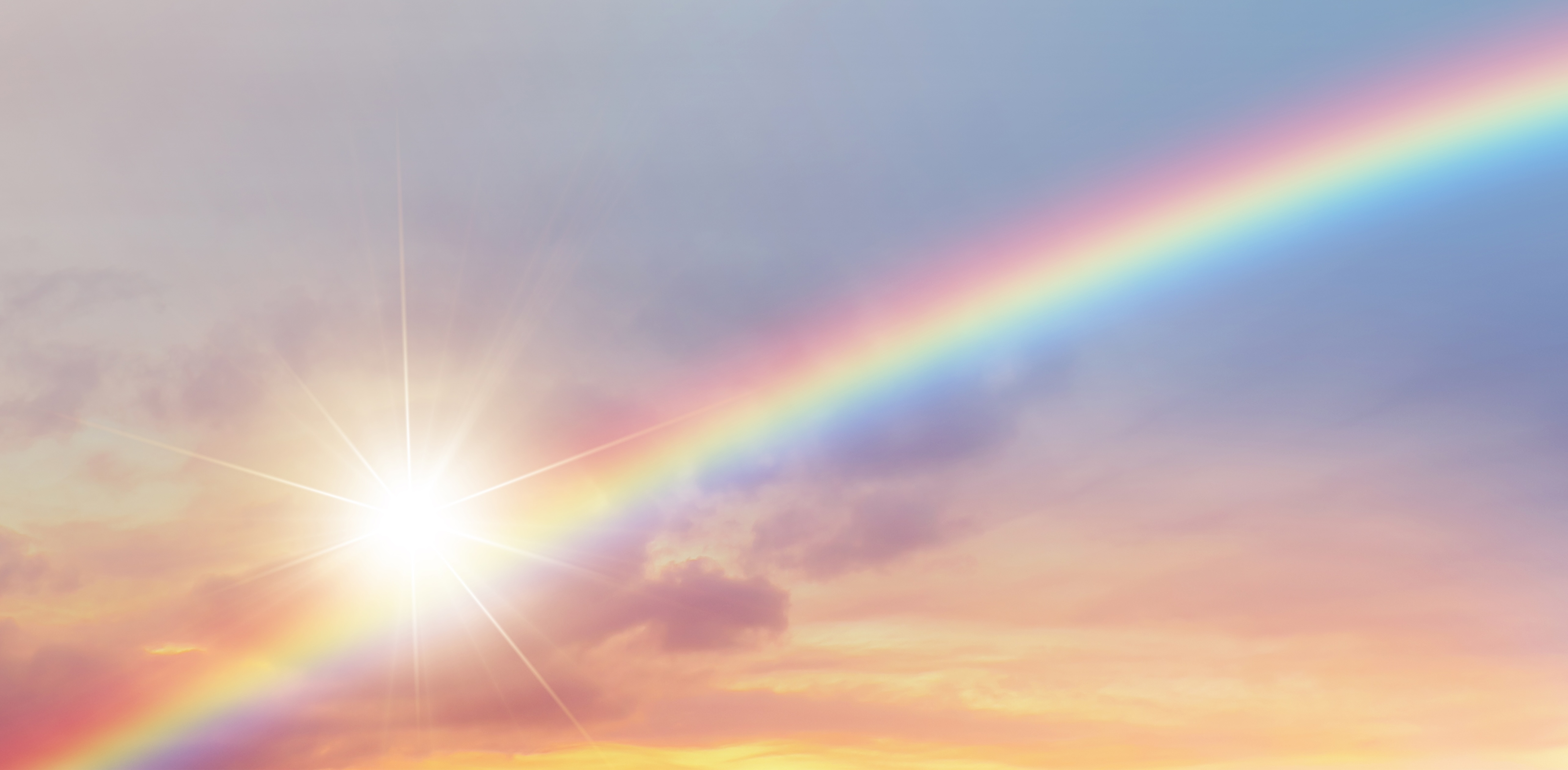 就労継続支援B型｜e-egg - イーエッグ -｜株式会チャレンジド湘南